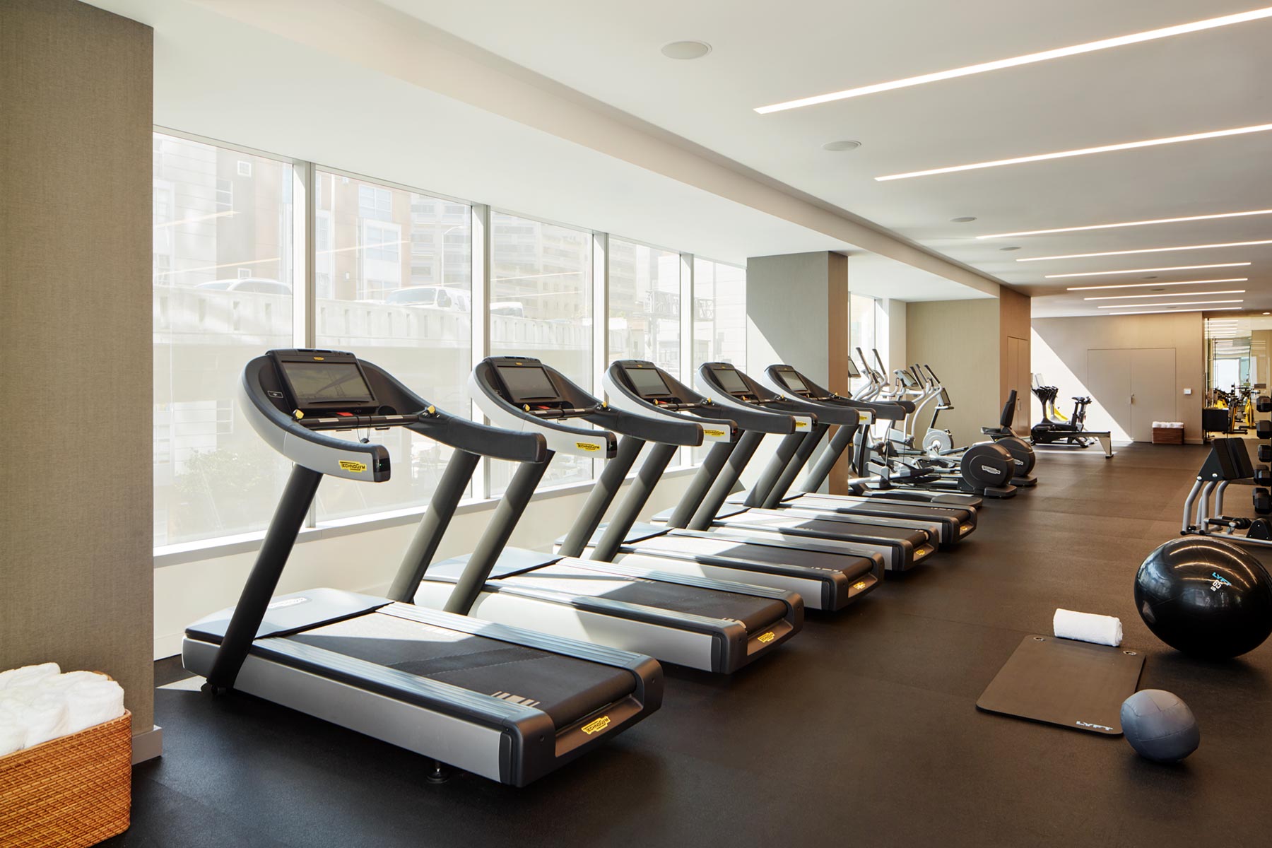 Fitness & Wellness image